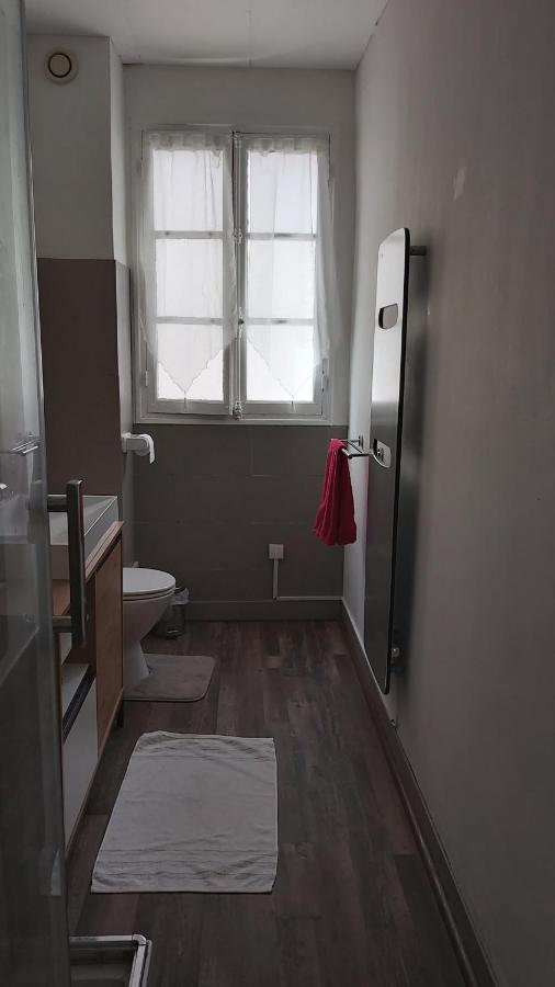 Grande Maison De Ville Au Centre Saint Aignan エクステリア 写真